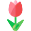 Tulip アイコン 64x64
