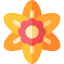 Daffodil アイコン 64x64