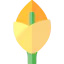 Calla lily アイコン 64x64
