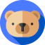 Bear icon 64x64