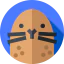 Seal icon 64x64
