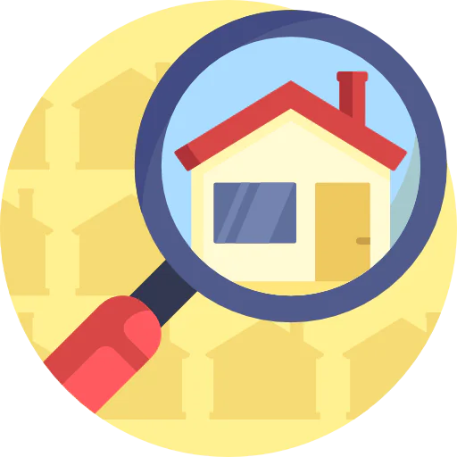 Loupe icon