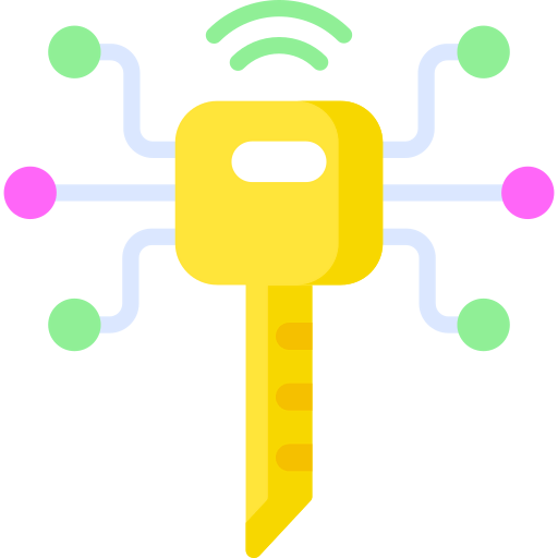Smart key icon