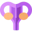 Uterus icon 64x64