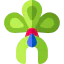 Crown 图标 64x64