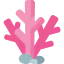 Coral icon 64x64