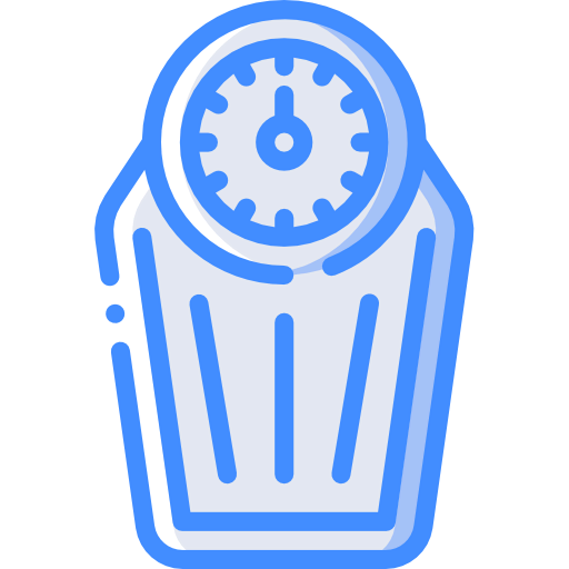 Scale icon