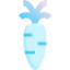 Carrot 图标 64x64