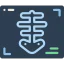 X ray 图标 64x64