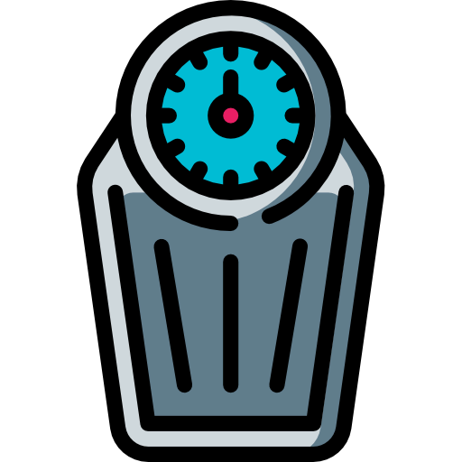 Scale icon