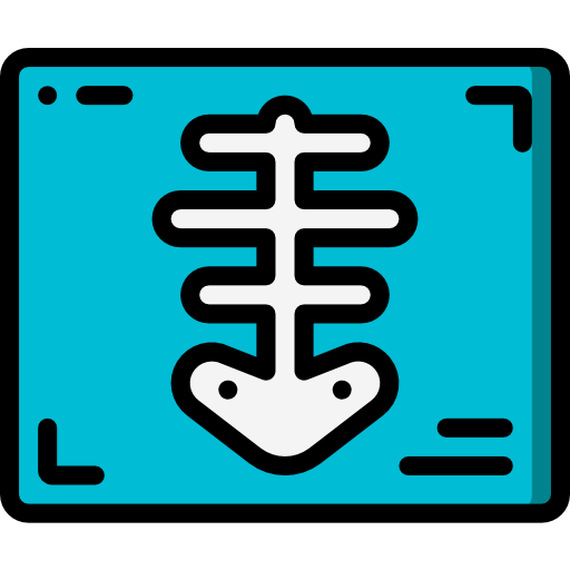 X ray icon
