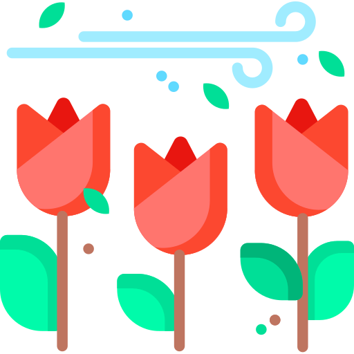 Spring 图标