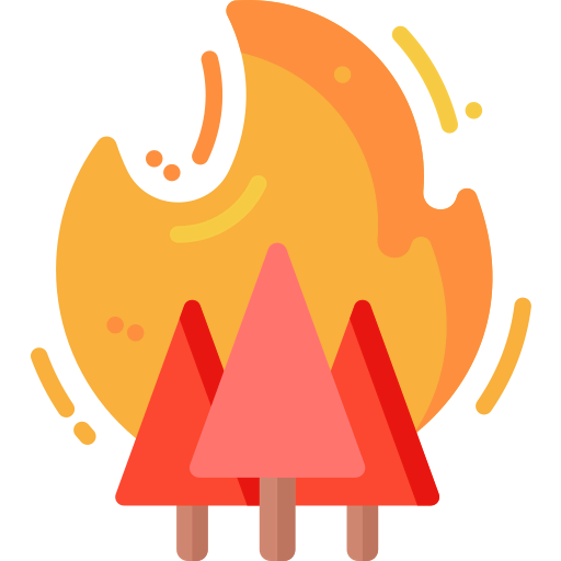 Fire icon