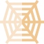 Spider web icon 64x64