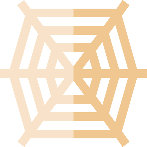 Spider web icon