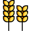 Cereal 图标 64x64