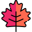 Leaf 图标 64x64