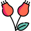 Dog rose 图标 64x64