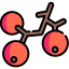 Berries 图标 64x64