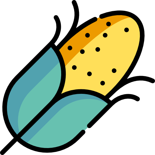Corn icon