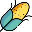 Corn 图标 64x64