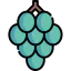 Grape 图标 64x64
