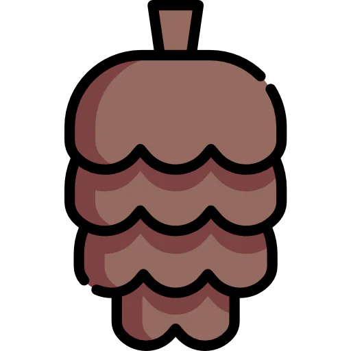 Pine cone ícono