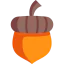 Acorn 图标 64x64