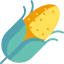 Corn ícone 64x64