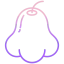 Rose apple icon 64x64