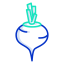 Beetroot icon 64x64