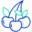 Berry icon 64x64
