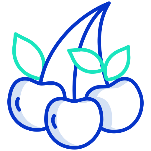 Berry 图标