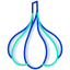 Garlic icon 64x64