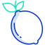 Lemon icon 64x64