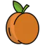 Apricot icon 64x64