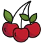 Berry icon 64x64