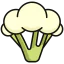 Cauliflower icon 64x64