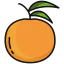 Orange icon 64x64