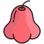 Rose apple icon 64x64