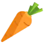 Carrot Ikona 64x64