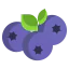 Blueberry ícono 64x64