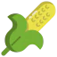 Corn Ikona 64x64