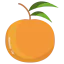 Orange Ikona 64x64