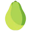 Papaya Ikona 64x64