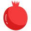 Pomegranate Ikona 64x64