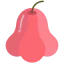 Rose apple Ikona 64x64