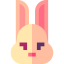 Rabbit icon 64x64