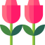 Tulips icon 64x64