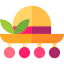 Bonnet icon 64x64